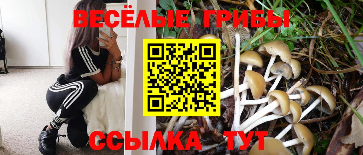 Псилоцибиновые грибы GOLDEN TEACHER Брянск