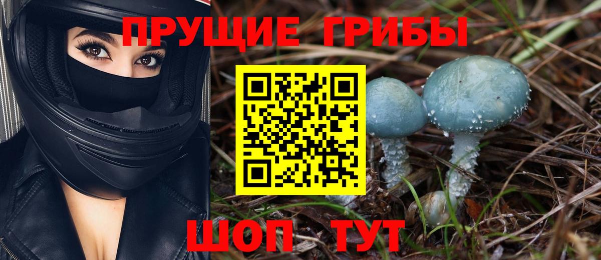 Брянск  Псилоцибиновые грибы мицелий  купить   Вход с VPN 
